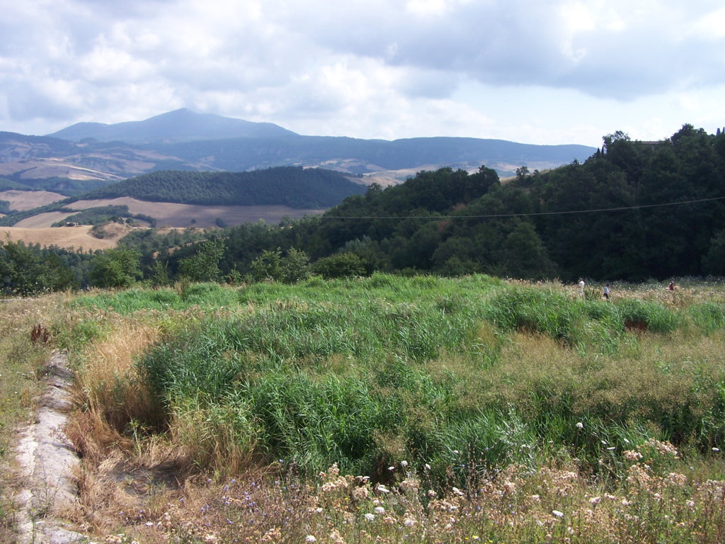 IRIDRA progetto per Trattamento terziario del depuratore di San Casciano dei Bagni (SI)