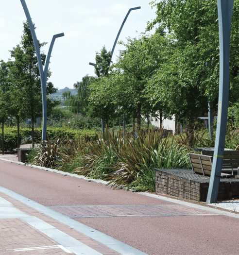 bioretention systems web