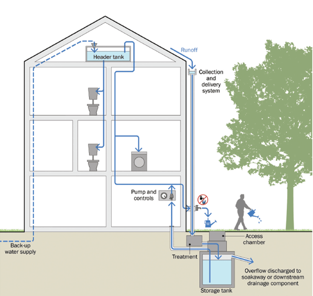 rainwater harvesting 2 web
