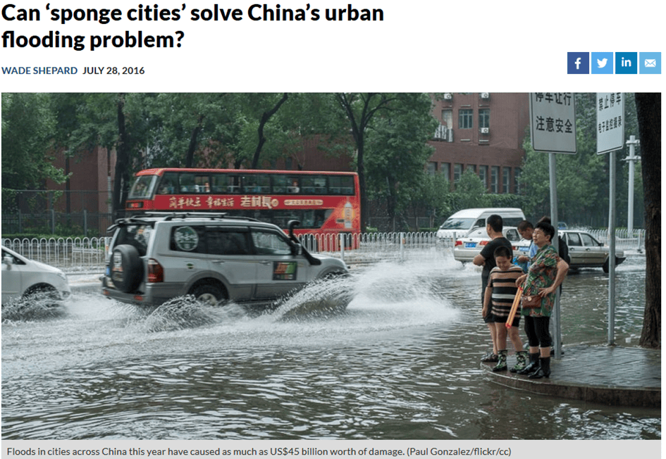 sponge cities web