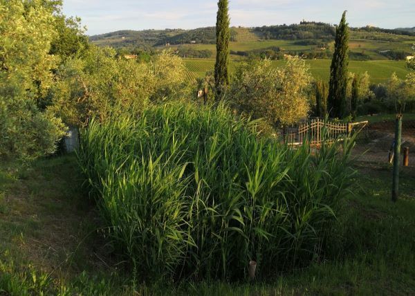 IRIDRA - Utenze domestiche e singole abitazioni