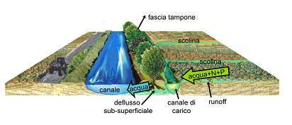 ft fitodepurazione web