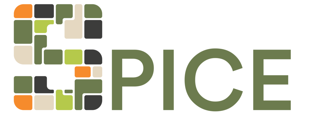 iridra - spice logo