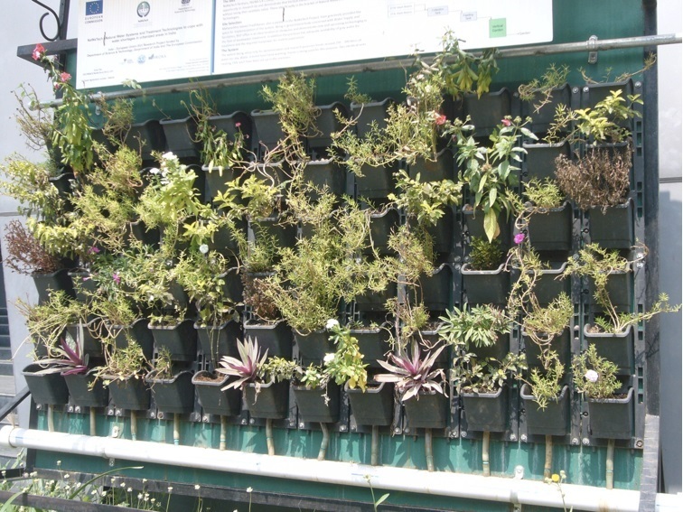 grigie vertical garden pune web